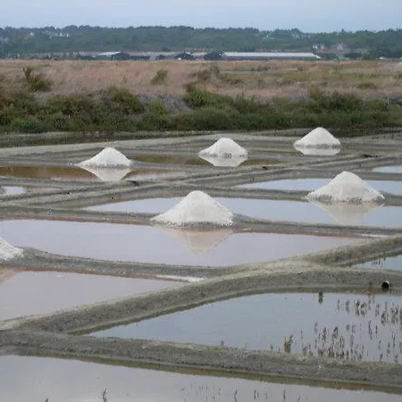 Vvf Villages   La Côte Guérandaise Aldeamento Turístico