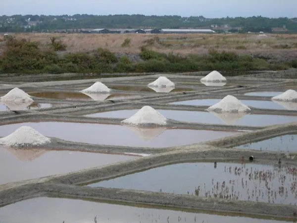 Vvf Bretagne Sud Üdülőpark